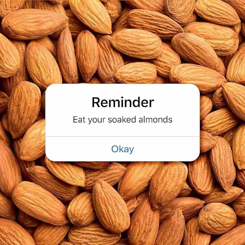Yoga Bar Almonds Pack Premium California Dried Almonds (500 gms)