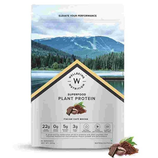 Wellbeing Nutrition Superfood Plant Protein Isolate - Cafe Mocha Flavor (500 gms)