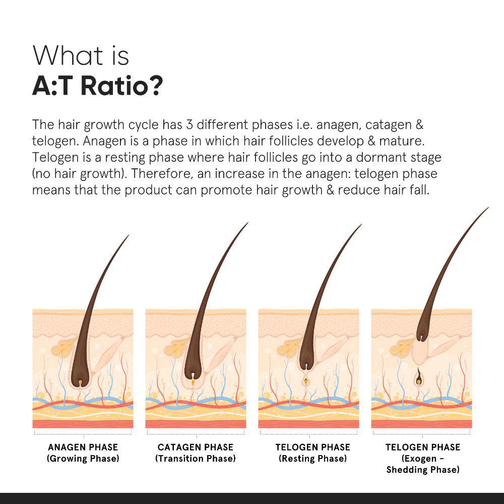 Minimalist Hair Growth Actives 18% Hair Serum (30ml)
