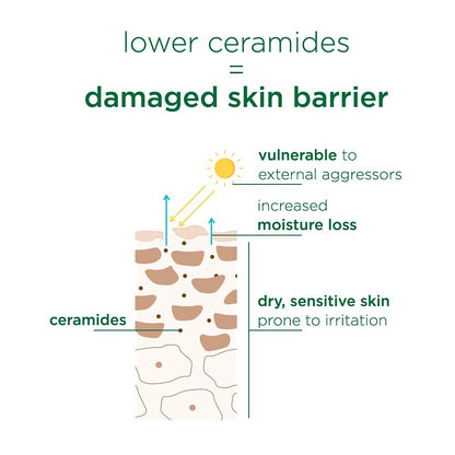 Simple Active Skin Barrier Care Soothing Water Crème (40 gms)