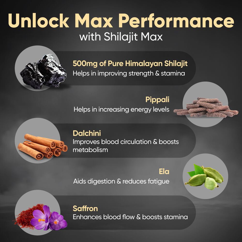 Dr. Vaidya's Shilajit Max Sachet (Pack of 1)