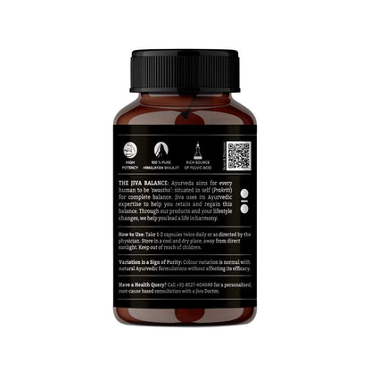 Jiva Pure Shilajit Strengthens Reproductive System & Nervous System (60 Capsules)