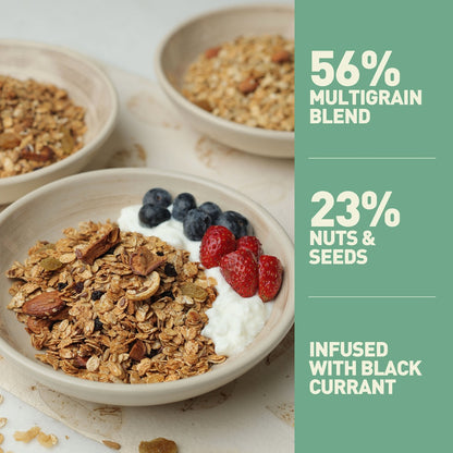 Nourish Organics Seeds + Nuts Muesli - 300 gms