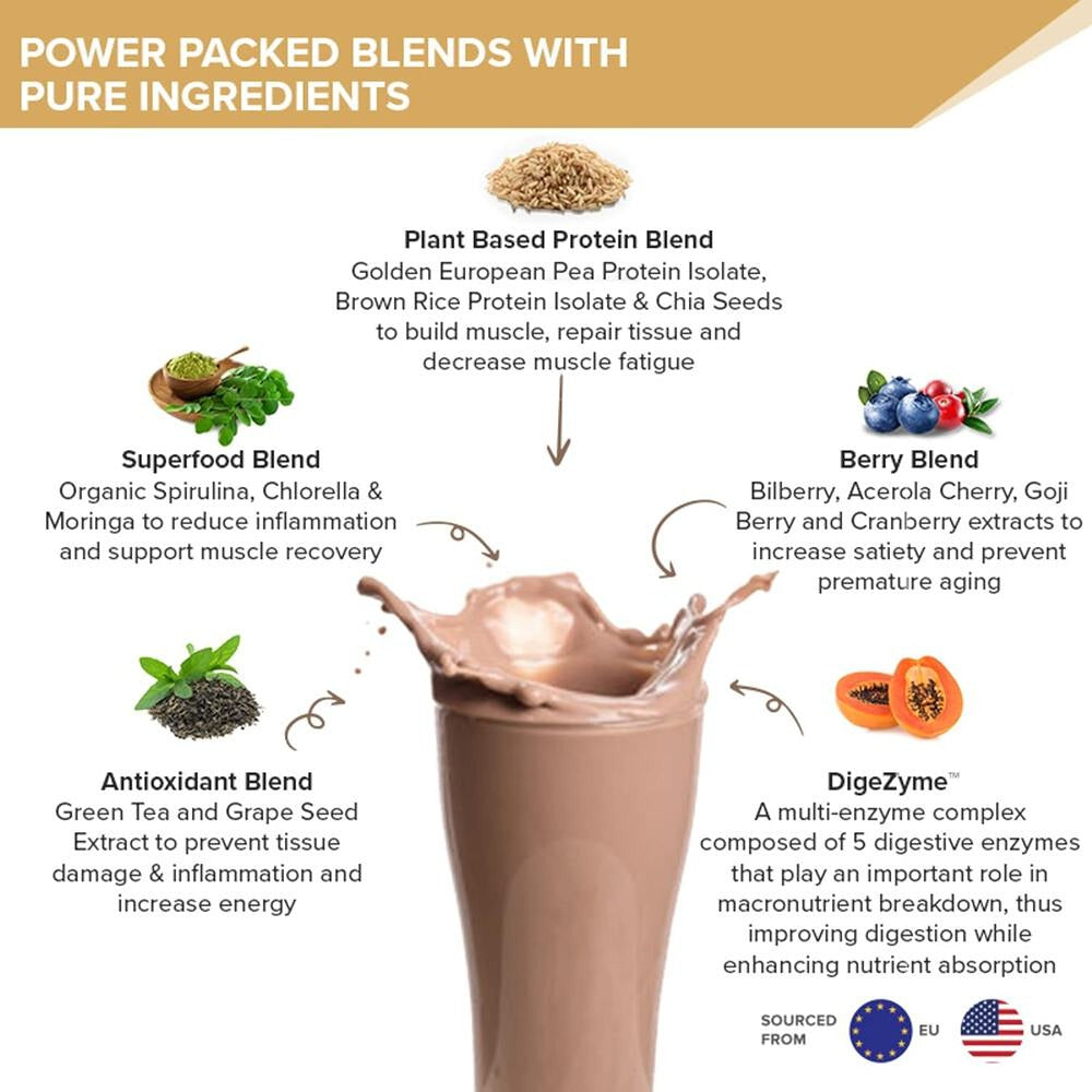 Wellbeing Nutrition Superfood Plant Protein Isolate - Cafe Mocha Flavor (500 gms)