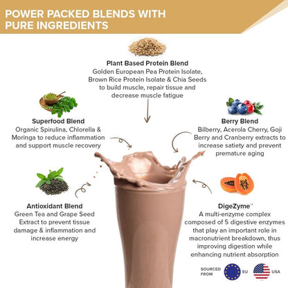 Wellbeing Nutrition Superfood Plant Protein Isolate - Cafe Mocha Flavor (500 gms)