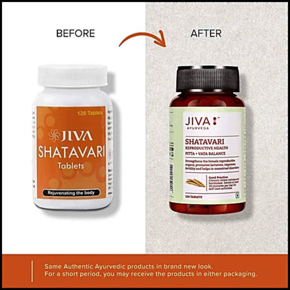 Jiva Shatavari Tablets for Female Reproductive System (120 Tablets)