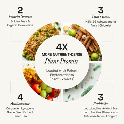 Ace Blend Vanilla Premium Plant Protein