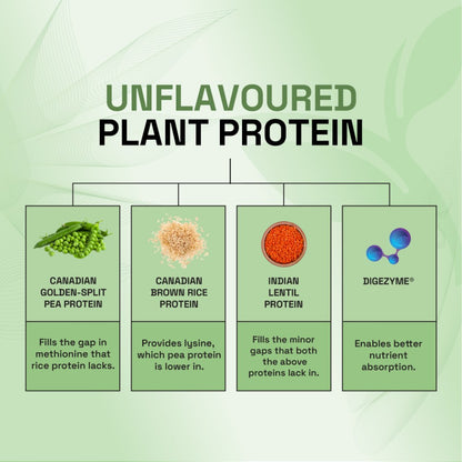Ace Blend Plant Protein Complex - Unflavoured (500 gms)