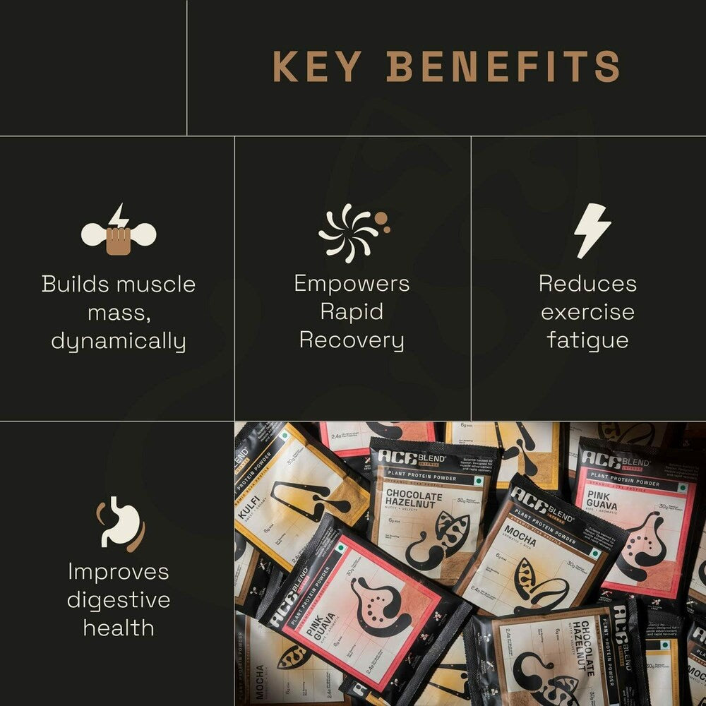 Ace Blend Chocolate Hazelnut Plant Protein