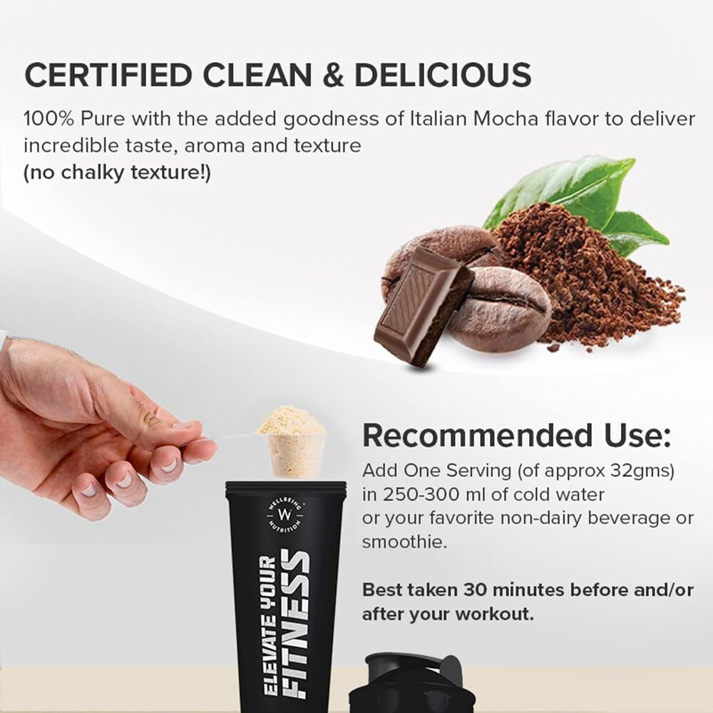 Wellbeing Nutrition Superfood Plant Protein Isolate - Cafe Mocha Flavor (500 gms)